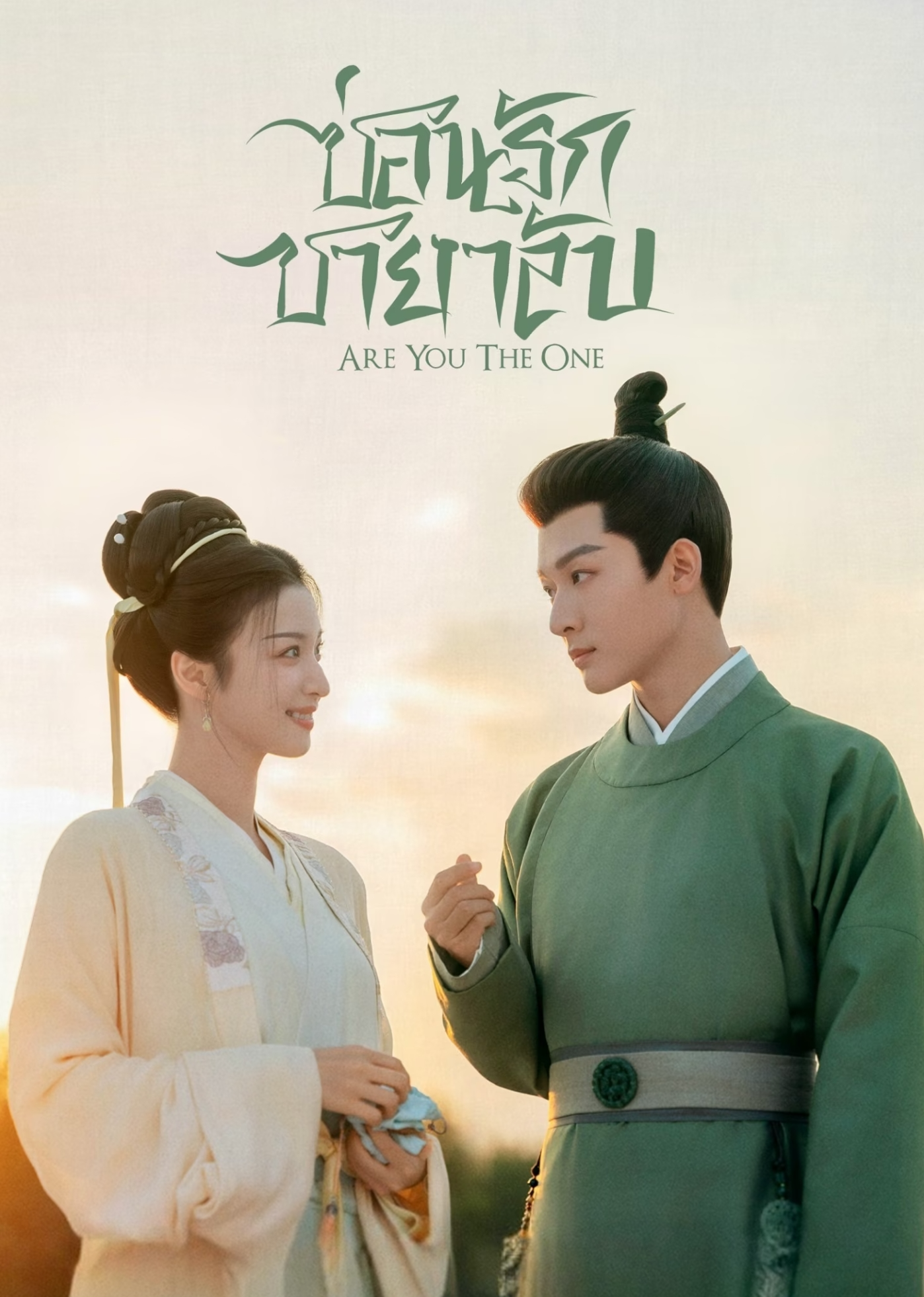 ซ่อนรักชายาลับ (พากย์ไทย)