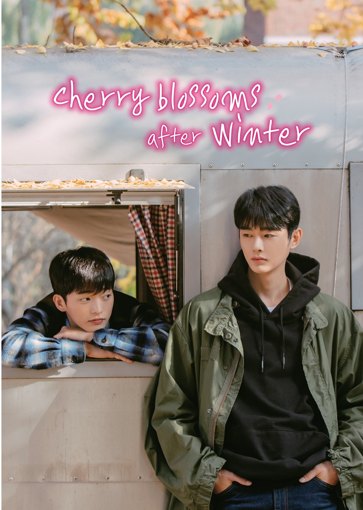 Cherry Blossoms After Winter