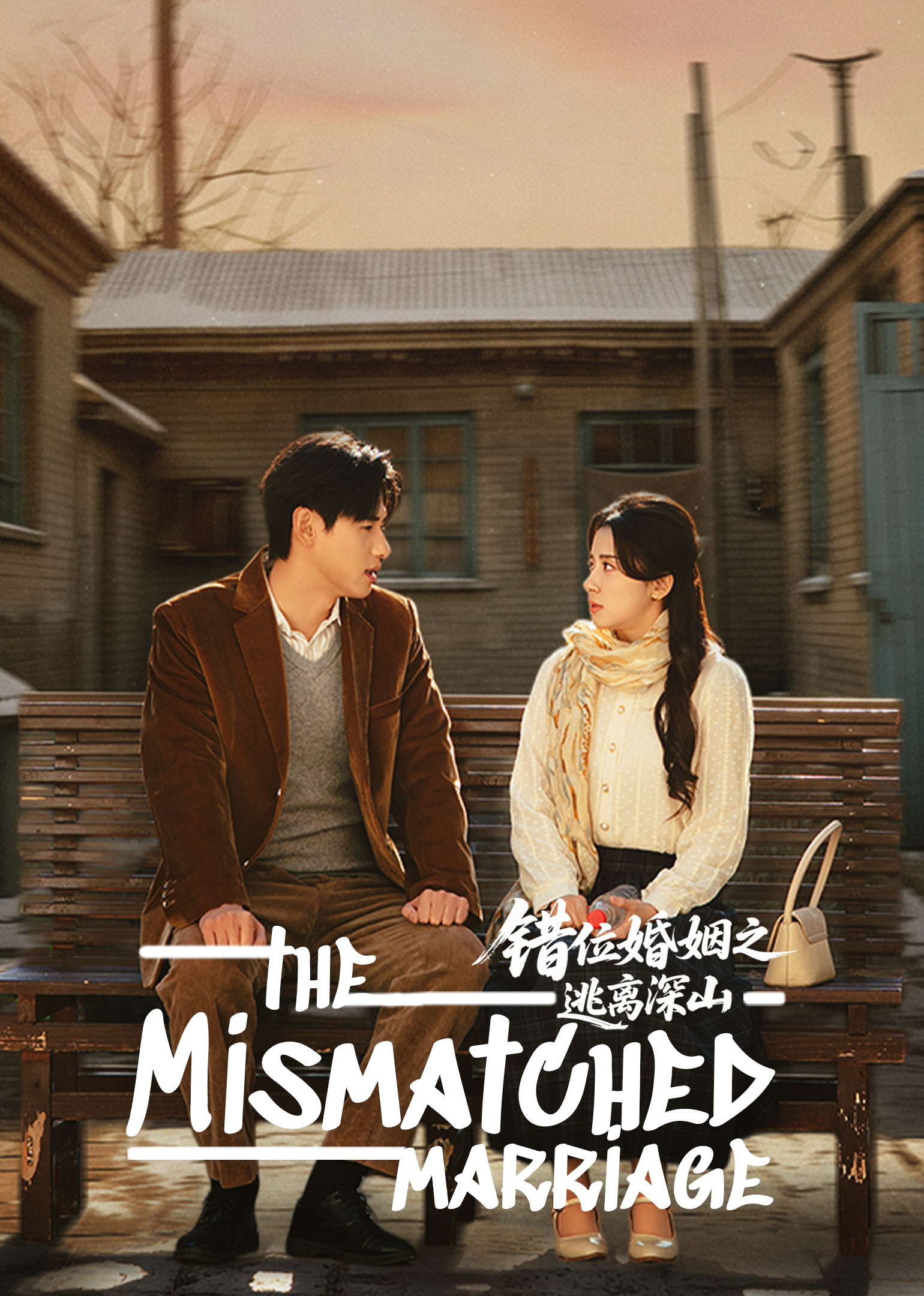 Poster The Mismatched Marriage