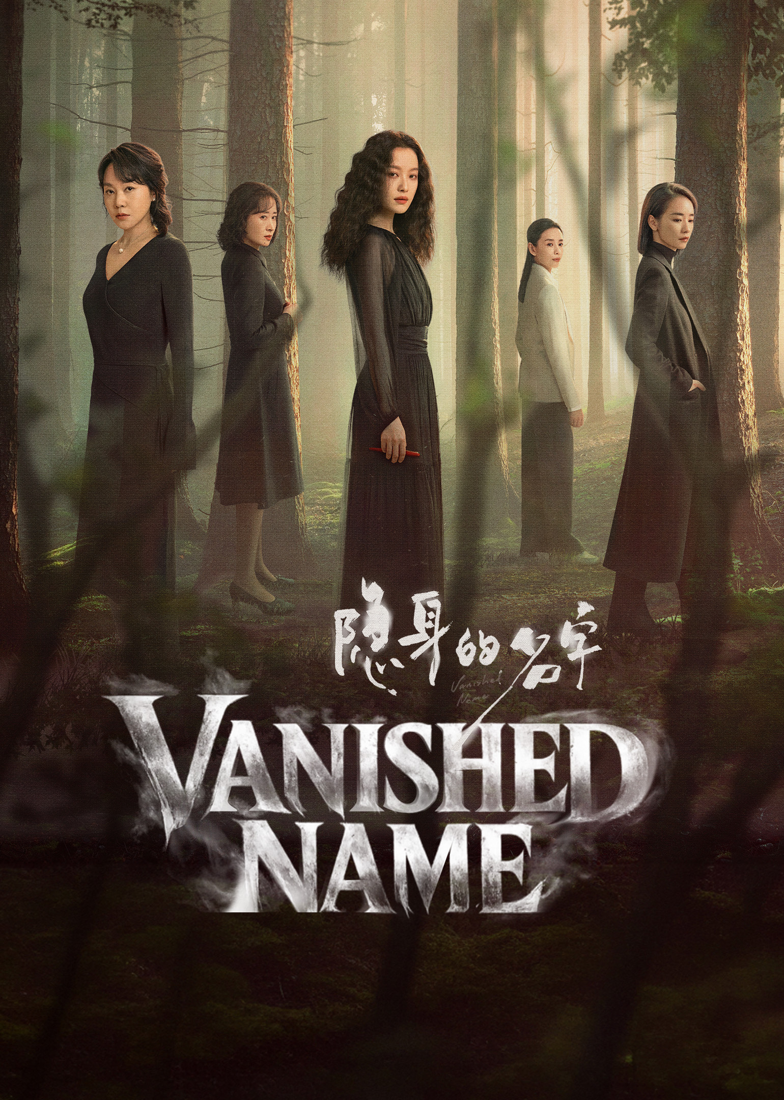 Poster Vanished Name