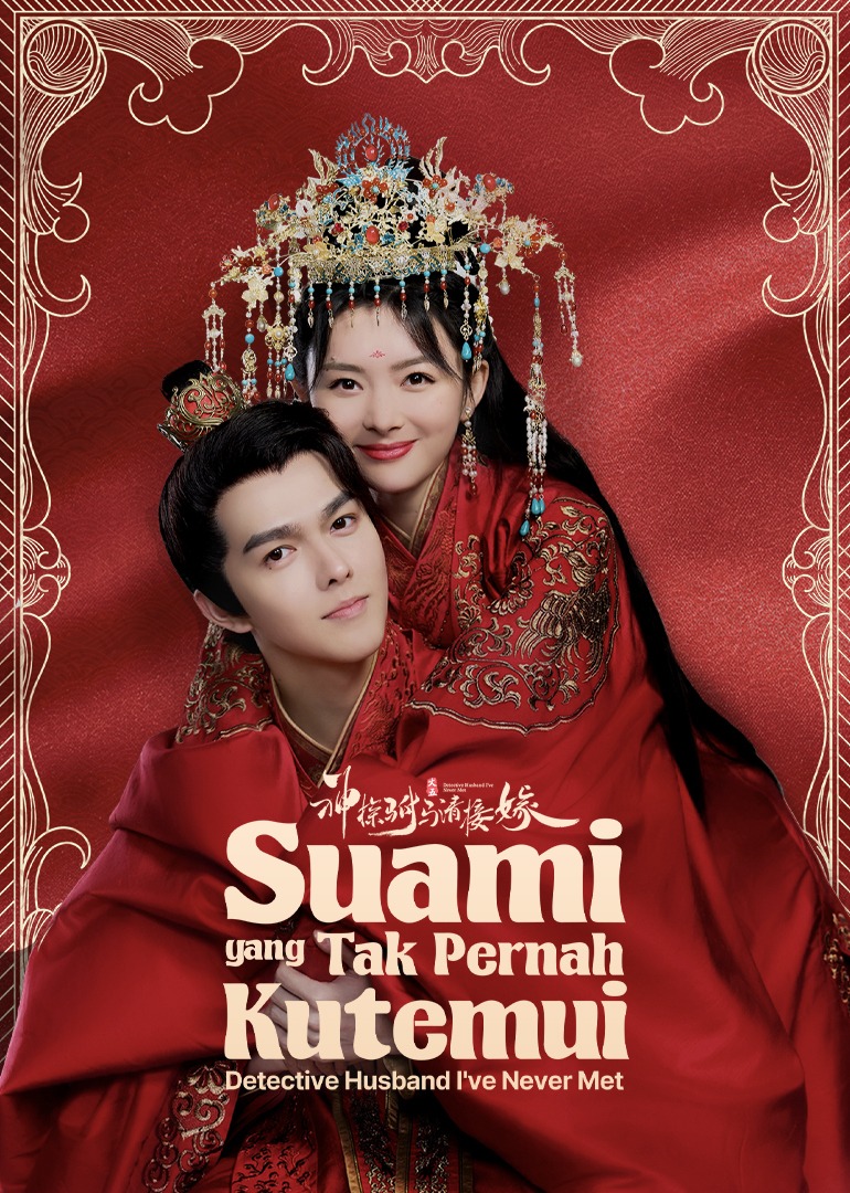 Detective Husband I've Never Met