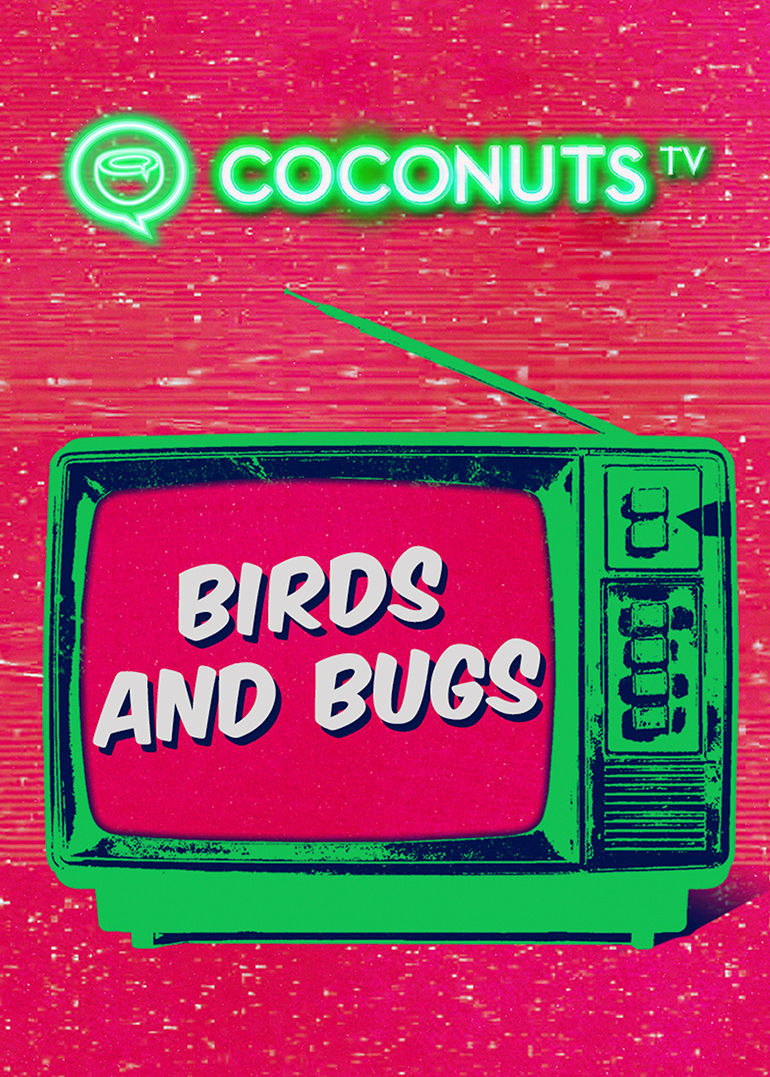Coconuts TV