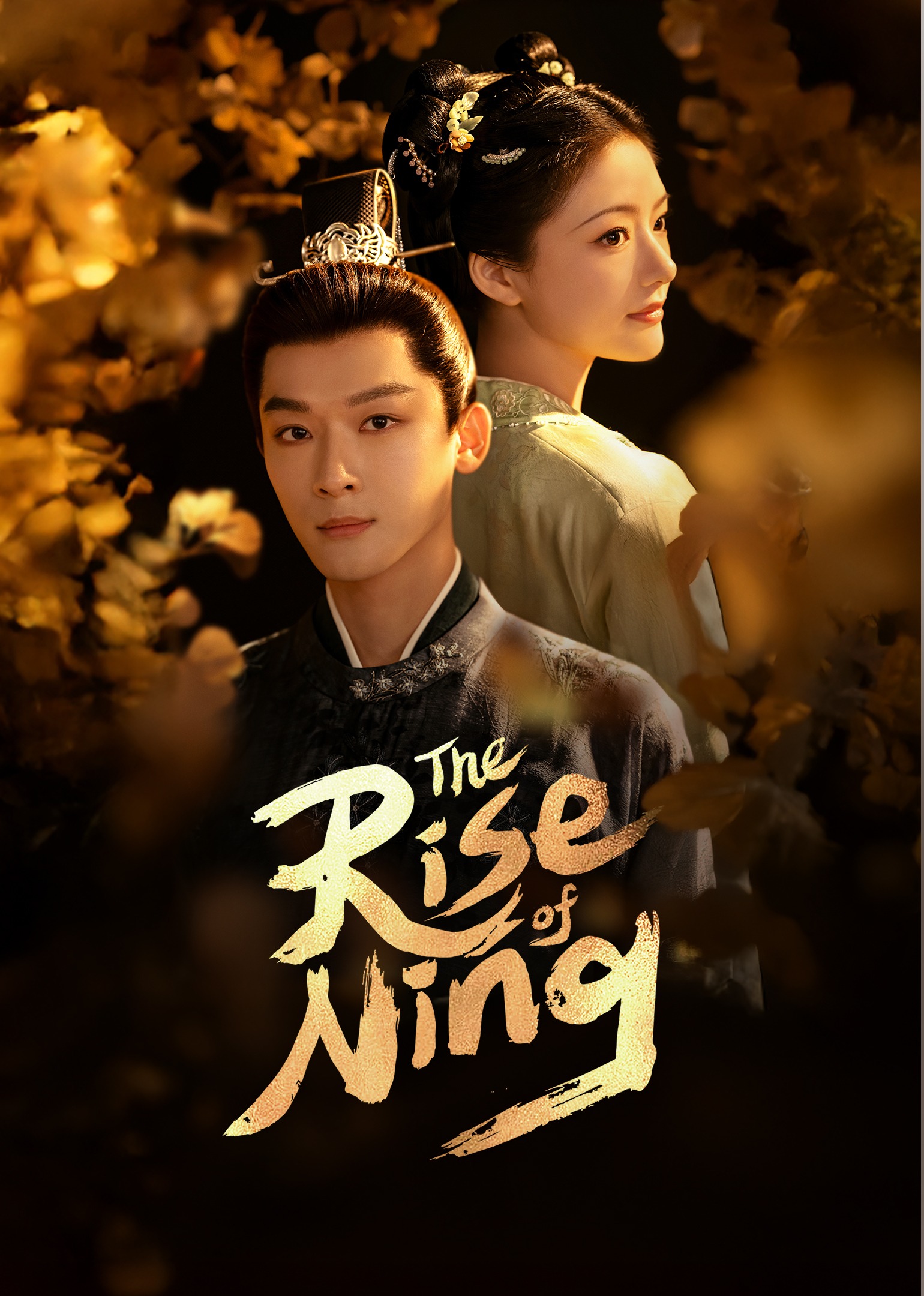 The Rise of Ning
