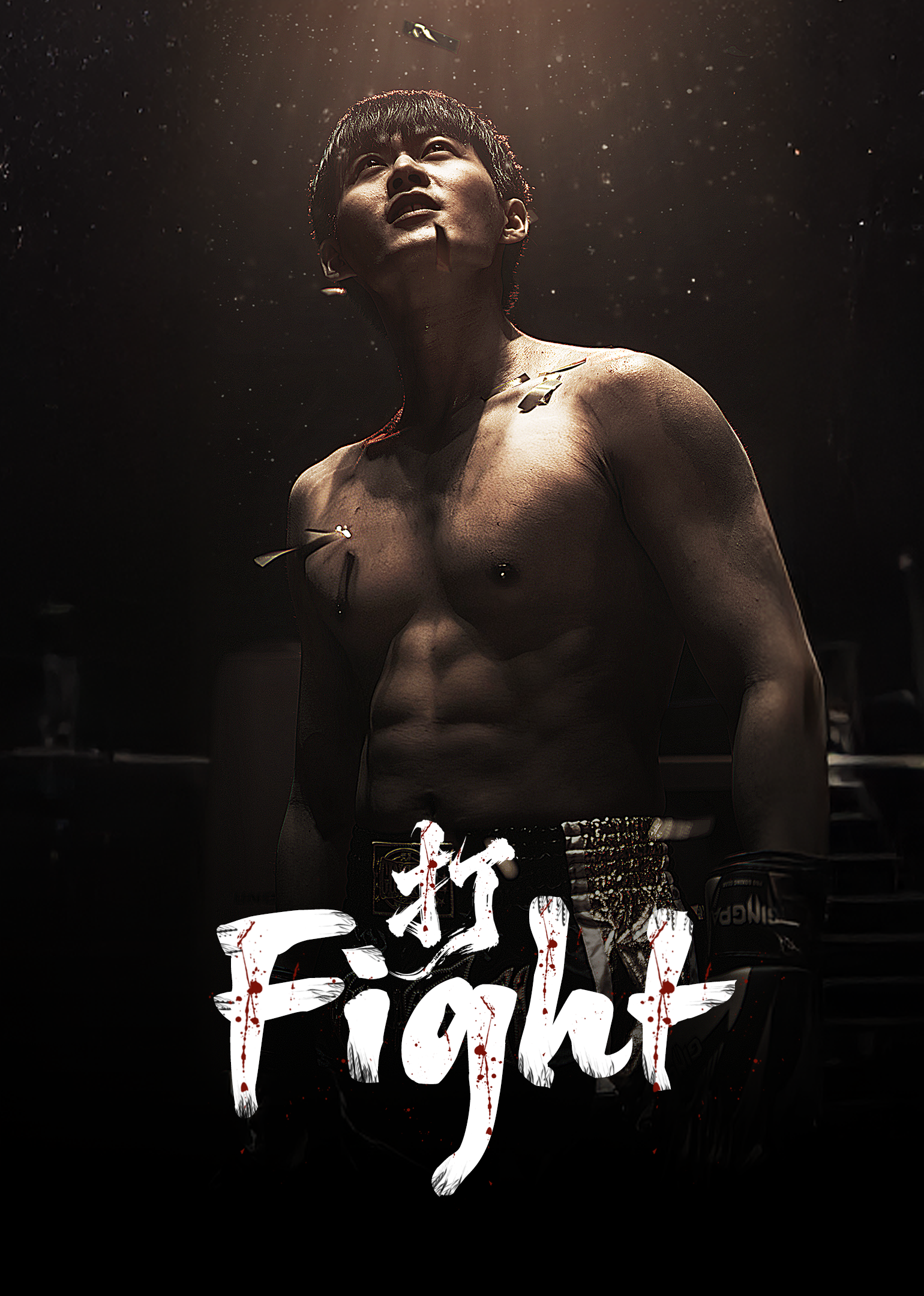 Poster Fight
