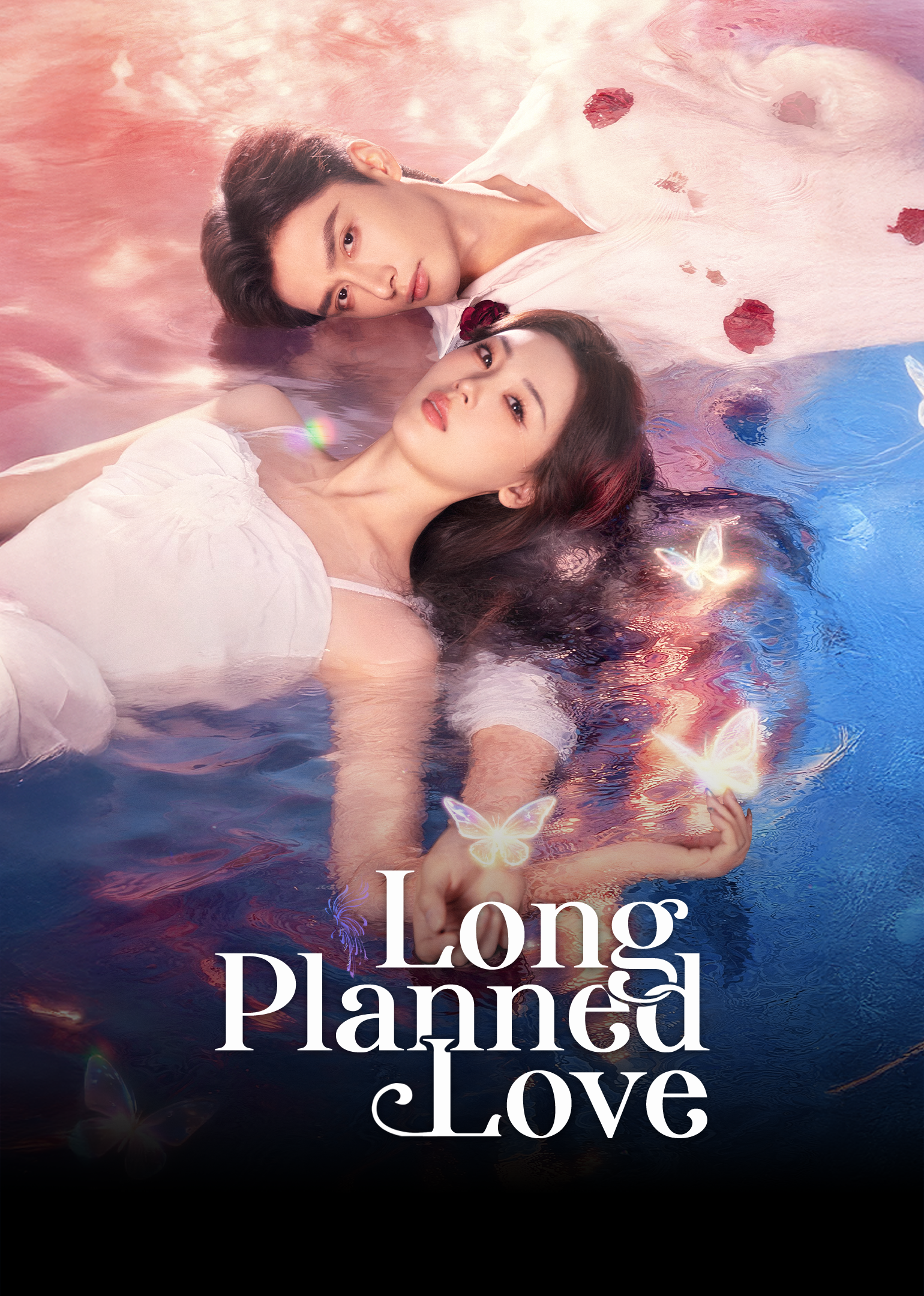 Long Planned Love