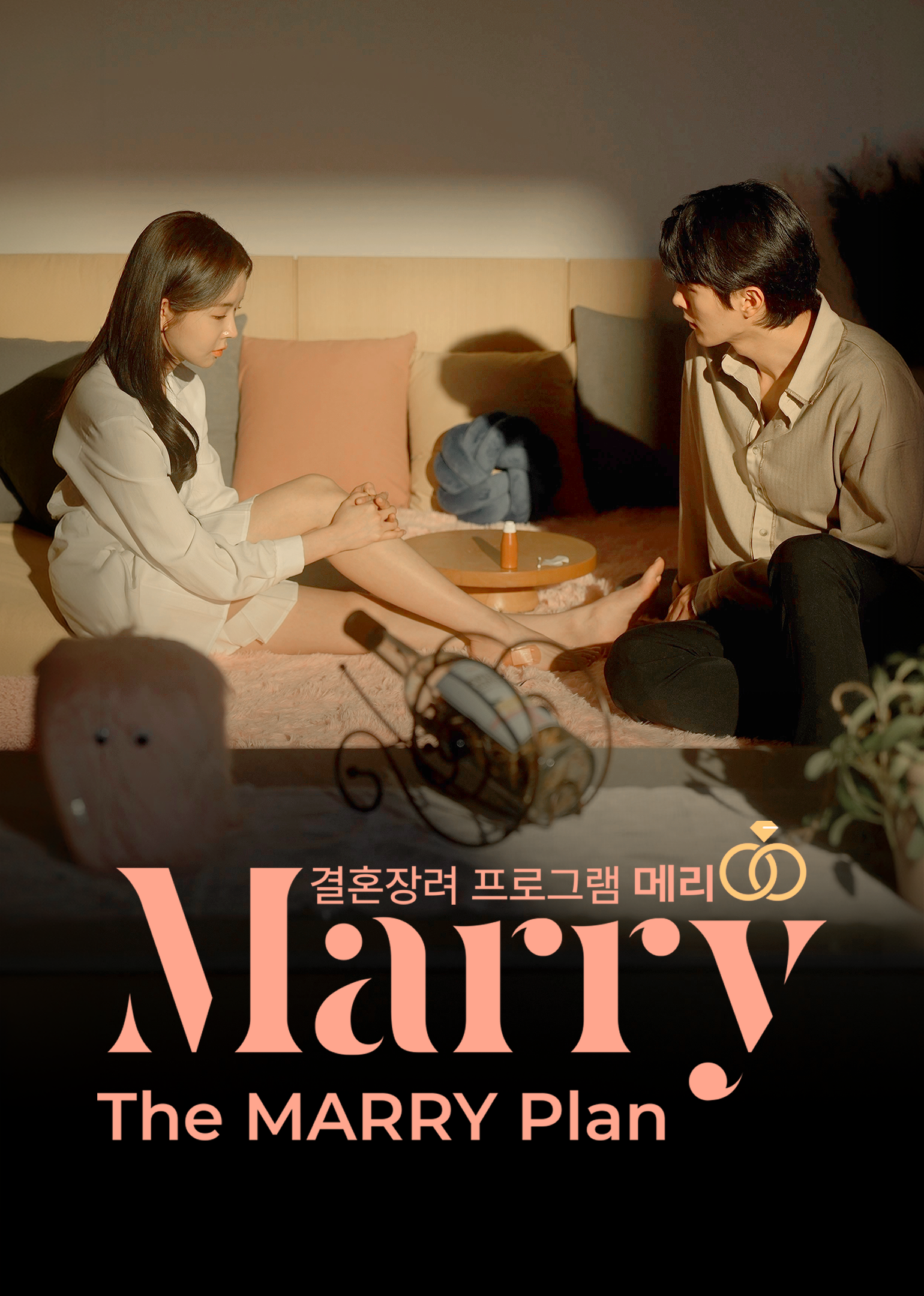The MARRY Plan, MARRY